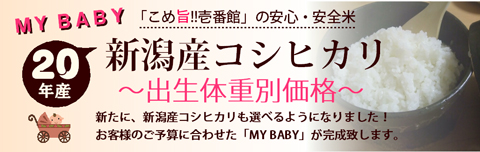 MY BABY¿·³ã»º¥³¥·¥Ò¥«¥ê