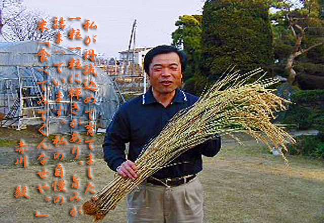 À¸»º¼Ô¤ÎÀÖÀîµ£¤µ¤ó