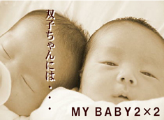 �лҤ����л���ˤ���