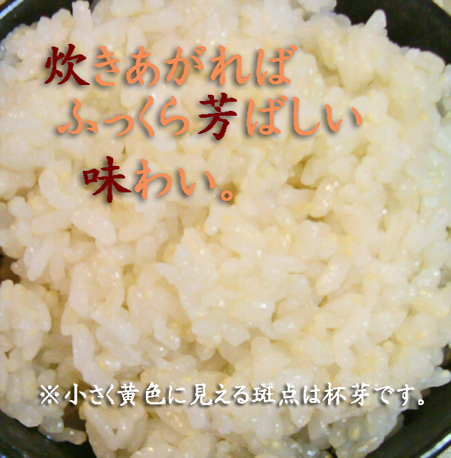 ˧¤Ð¤·¤¤Ì£¤ï¤¤¸Þʬ¤Å¤æõ²êÊÆ