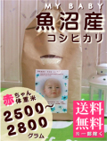 MY BABY����:2500��2800g