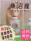 MY BABY���»������ҥ���:2801��3100g