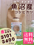 MY BABYµû¾Â»º¥³¥·¥Ò¥«¥ê:3101¡Á3400g