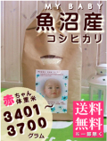 MY BABY���»������ҥ���:3401��3700g