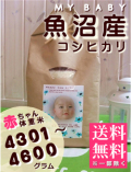 MY BABY���»������ҥ���:4301��4600g
