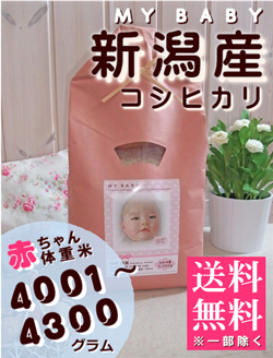 出産内祝い体重米 MY BABY新潟:4001～4300g